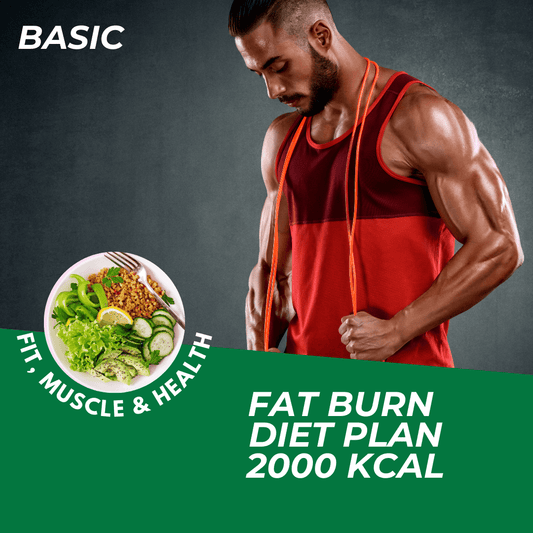 Men Basic 2000 kcal Fat Burn Diet